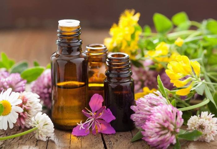Tinh dầu là lựa chọn tốt cho sức khỏe của con người