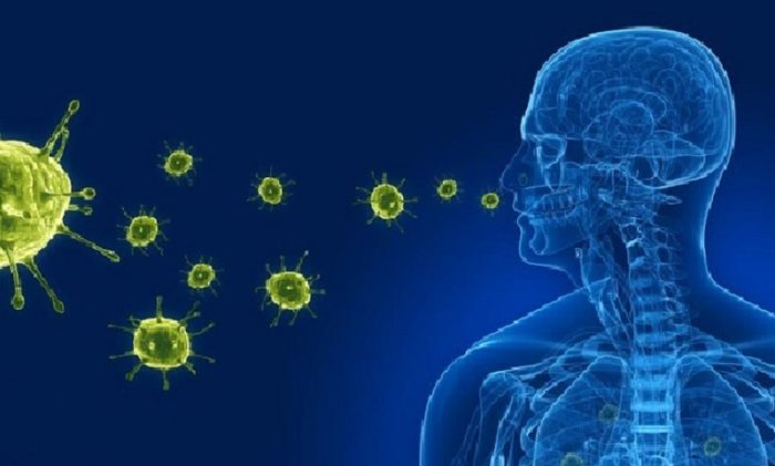 Nguyên nhân gây ra cúm là do virus cúm tấn công vào hệ hô hấp