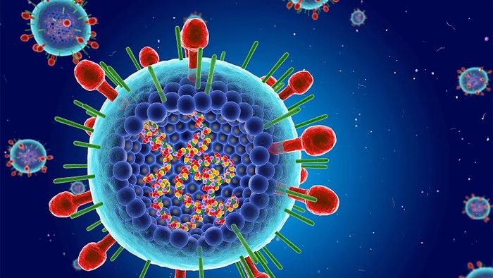 Mùa đông và mùa xuân, mùa xuân và mùa hè là thời điểm mà virus RSV hoạt động mạnh mẽ.
