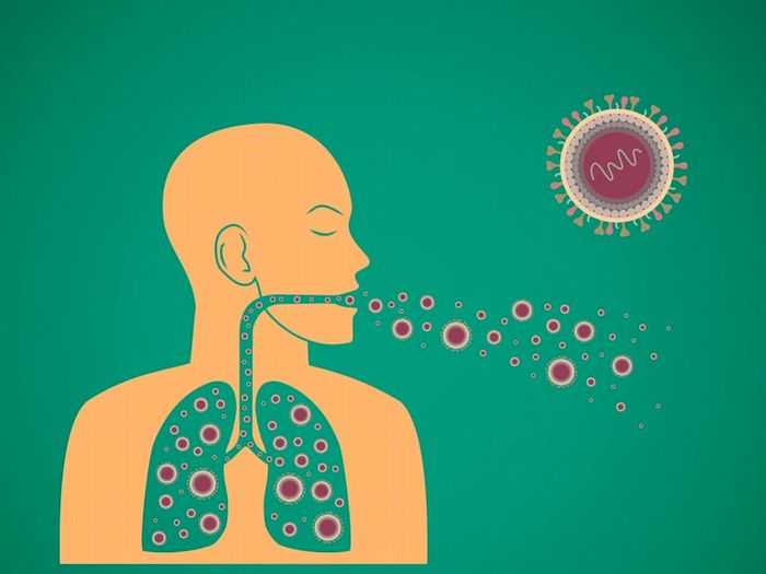 Nguyên nhân gây bệnh chủ yếu là do lây nhiễm