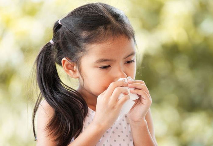 Sổ mũi có thể là dấu hiệu của nhiễm khuẩn đường hô hấp trên