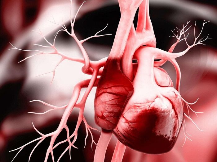 Cần thực hiện chẩn đoán nguyên nhân bệnh tim gây ra phù phổi cấp