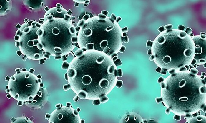 Vi rút SARS-CoV-2, nguyên nhân gây ra viêm phổi, là một mối đe dọa nguy hiểm hiện nay