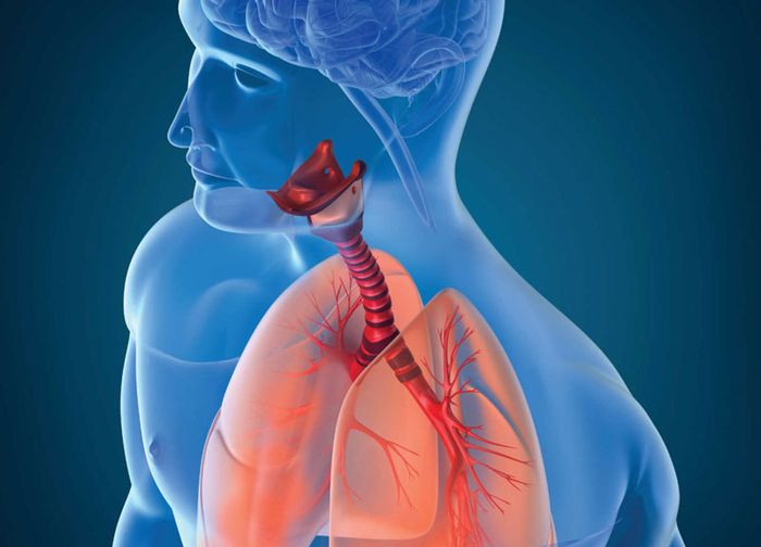 Phân biệt viêm đường hô hấp trên và dưới
