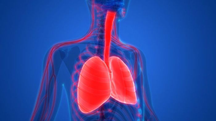 Người mắc bệnh liên quan tới phổi hoặc phế quản thường thở nông và gặp khó khăn trong việc hít thở.