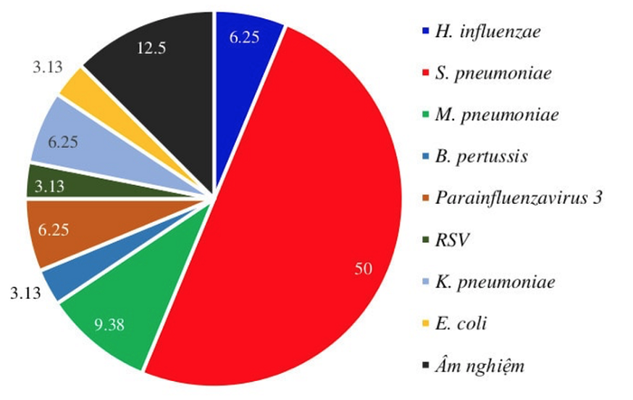 Phân tích nguyên nhân gây ra viêm phổi không phản ứng với liệu pháp kháng sinh từ một nghiên cứu trên trẻ em (2015)