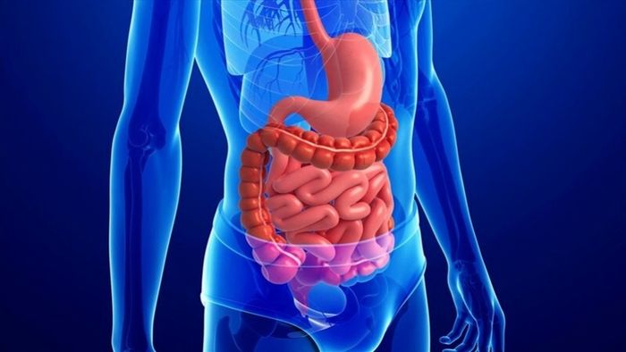 Đi tiêu ra phân có chất nhầy màu trắng đục có thể là do mắc hội chứng ruột kích thích