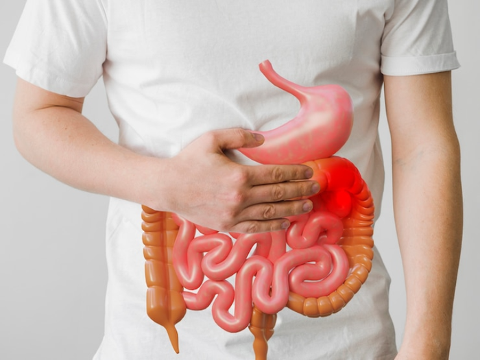 Chức năng của hệ tiêu hóa là gì và tại sao cần hấp thụ chất dinh dưỡng?