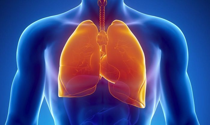 Viêm phổi là một trong những bệnh nhiễm trùng hô hấp thường gặp.