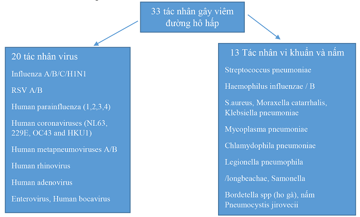 Phát hiện các bệnh lý về phổi tại MEDLATEC một cách nhanh chóng và chính xác