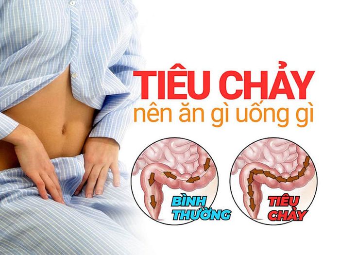 Muốn hồi phục nhanh chóng sau khi bị tiêu chảy, việc lựa chọn thực phẩm phù hợp là rất quan trọng.