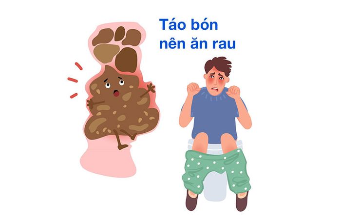 Cùng tìm hiểu những loại rau nào có thể giúp bạn vượt qua tình trạng táo bón một cách tự nhiên và an toàn nhất.