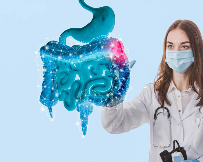 Hệ tiêu hóa đóng vai trò quan trọng trong việc tiêu hóa thức ăn và kích thích hoạt động của não bộ.
