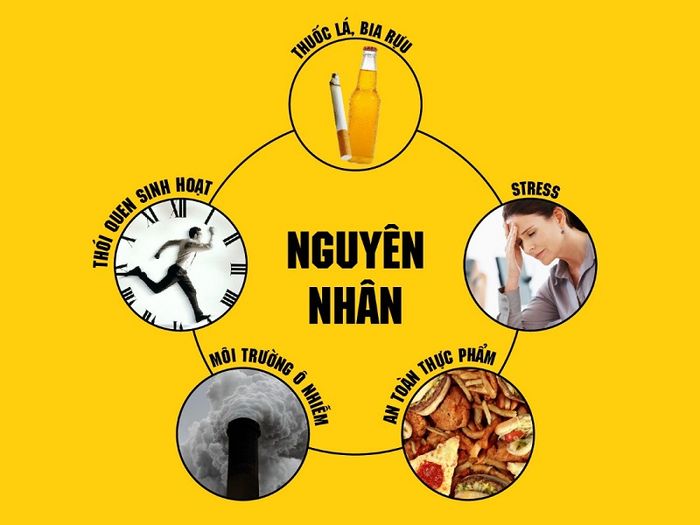 Các nguyên nhân chính gây đau dạ dày