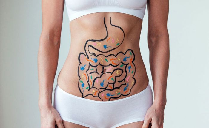 Hang vị giúp quá trình tiêu hóa thức ăn dễ dàng hơn