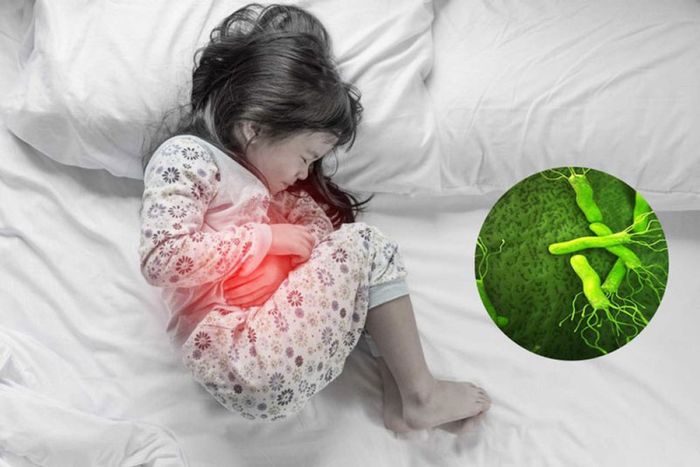 Vi khuẩn HP gây bệnh hàng đầu