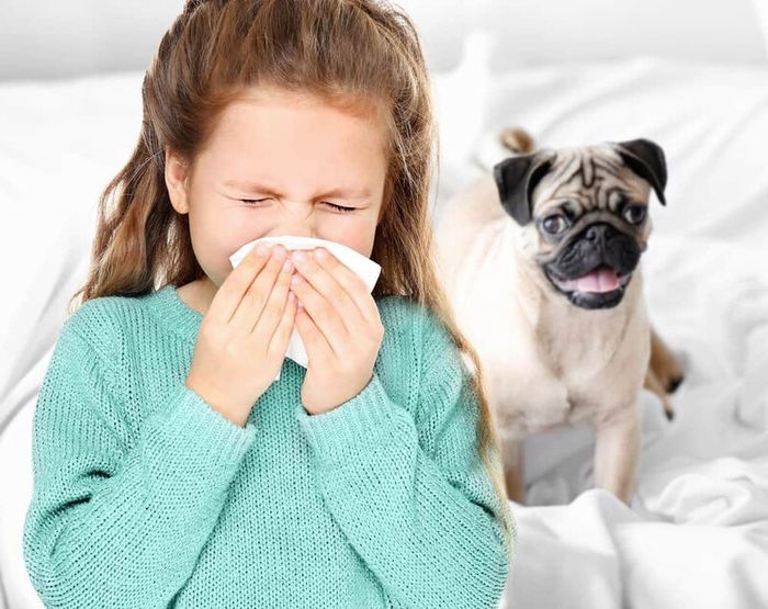 Các đợt hen suyễn cấp tính có thể đe dọa tính mạng