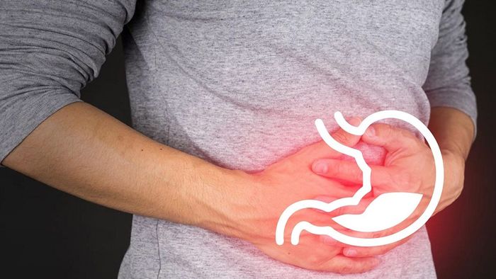 Chức năng cơ bản của dạ dày là chuyển hóa thức ăn
