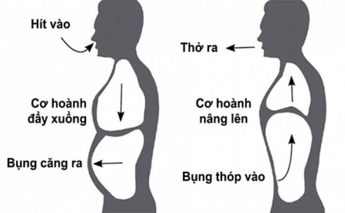 Hít thở sâu bằng cơ hoành giúp cải thiện chức năng hô hấp cho người mắc bệnh phổi tắc nghẽn mãn tính.