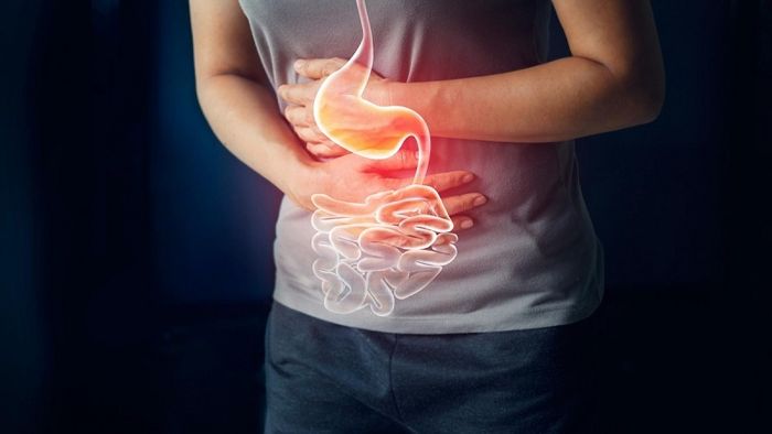 Hệ tiêu hóa bao gồm nhiều bộ phận nhưng hoạt động rất nhịp nhàng