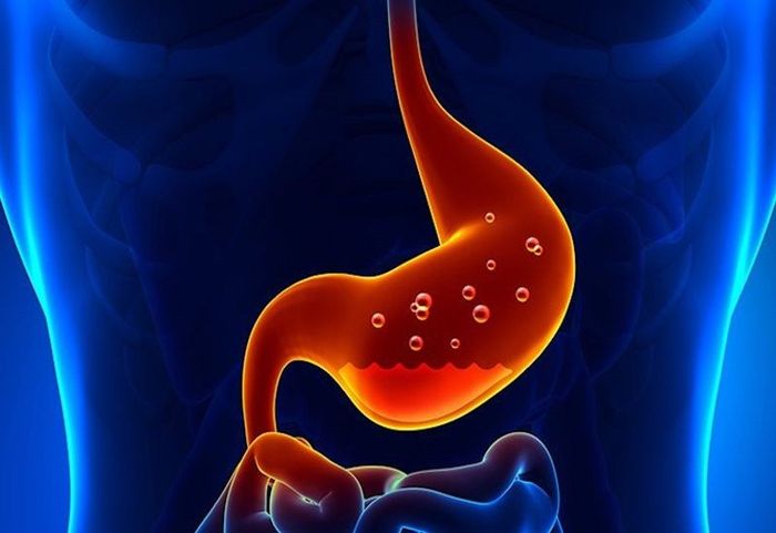 Chỉ Số pH Của Dạ Dày Khi Ăn và Khi Nghỉ Ngơi Sẽ Khác Biệt