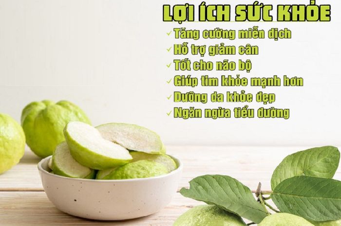 Quả ổi mang lại nhiều lợi ích quan trọng cho sức khỏe của con người