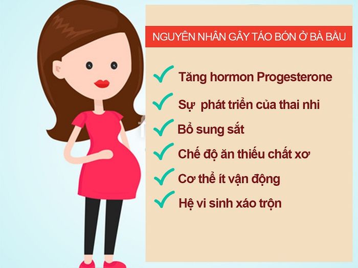 Các nguyên nhân chính gây ra tình trạng táo bón ở bà bầu