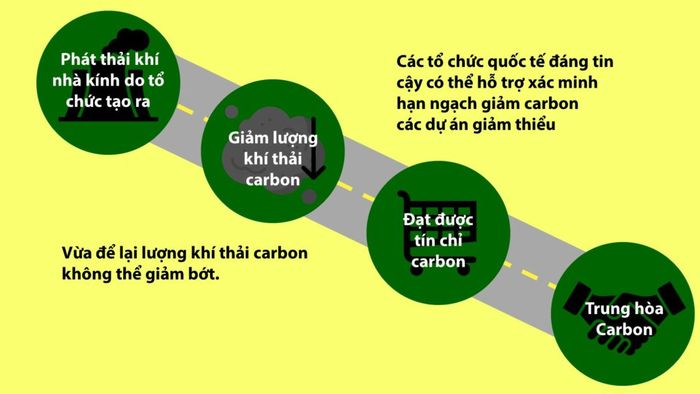 BỒI THƯỜNG CARBON LÀ GÌ? BỒI THƯỜNG CARBON HOẠT ĐỘNG NHƯ THẾ NÀO? - renouvo