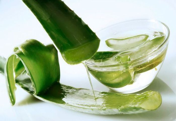 Lá lô hội không chỉ giúp làm đẹp da mà còn có lợi cho sức khỏe dạ dày