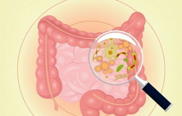 Bệnh tiêu chảy Rota: khám phá và phòng tránh