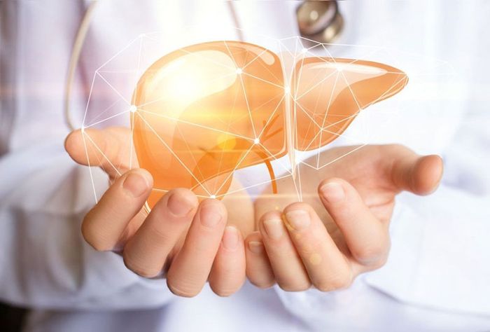 Nguy Cơ Mắc Bệnh Gan Nhiễm Mỡ