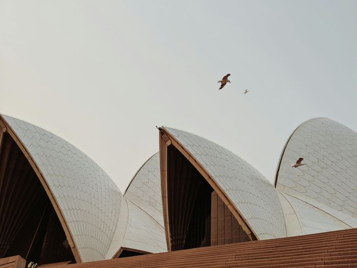 Hình ảnh độc đáo của Nhà hát Sydney từ góc chụp thấp
