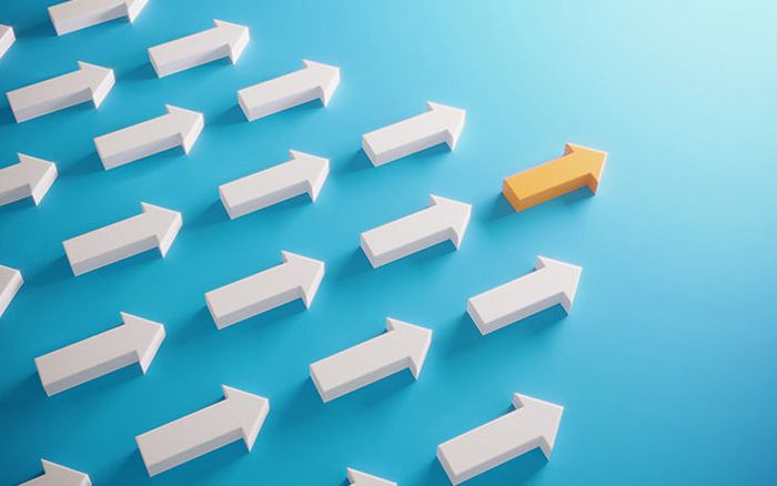 Khả Năng Lãnh Đạo Của C- Suite
