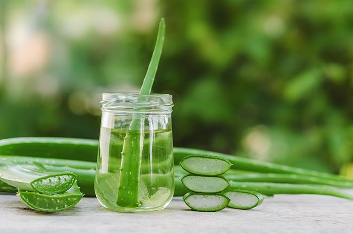 Để giảm viêm nhiễm và ngứa ngáy ở hậu môn, bạn có thể áp dụng phần nhựa của cây nha đam lên vùng da này.