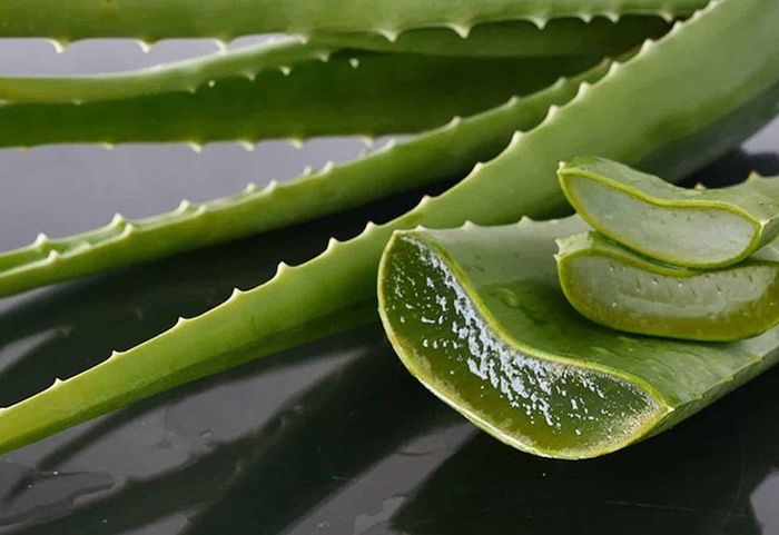 Phương pháp chữa trị trào ngược dạ dày tại nhà