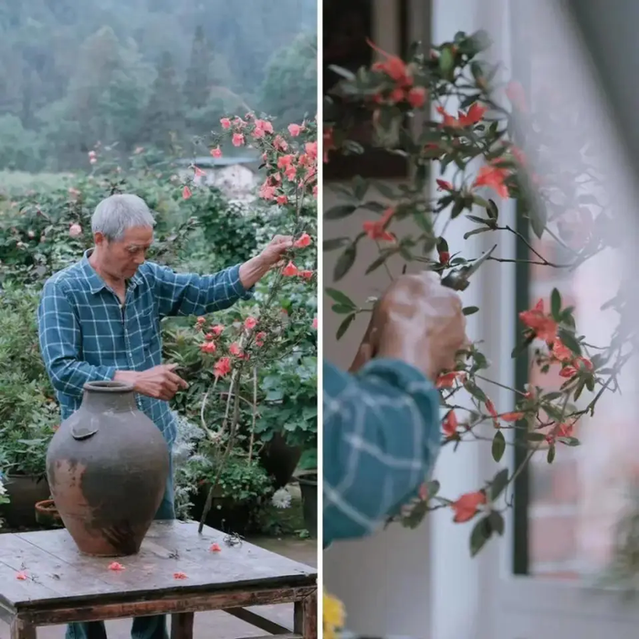 Người đàn ông đã xây dựng một ngôi nhà giữa biển hoa cho người vợ của mình