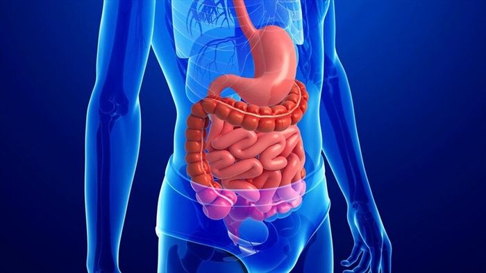 Hội chứng ruột kích thích thường gây nhầm lẫn với các bệnh lý đường tiêu hóa khác do có những triệu chứng khá giống nhau