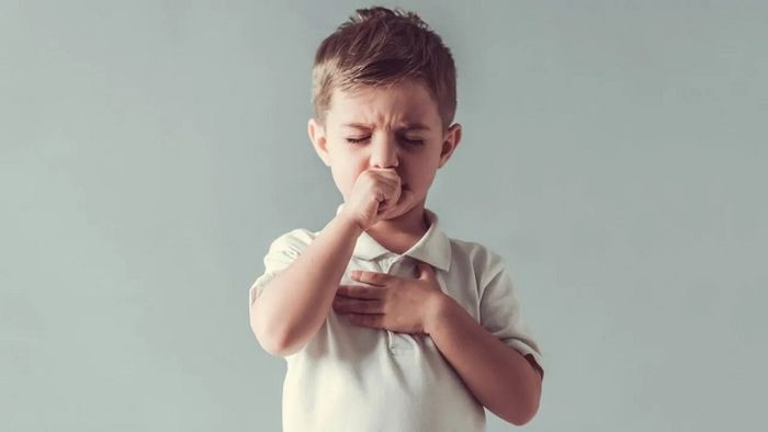 Viêm phế quản gồm hai loại: cấp tính và mạn tính