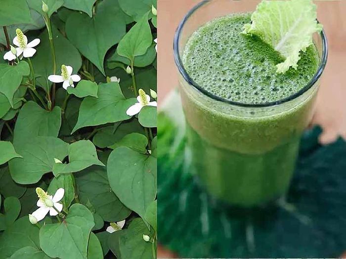 Nên đi khám hay tự chữa trị trĩ ngoại?