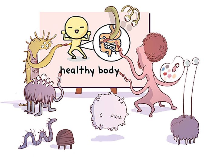 Vi khuẩn có lợi đóng vai trò quan trọng trong cơ thể con người
