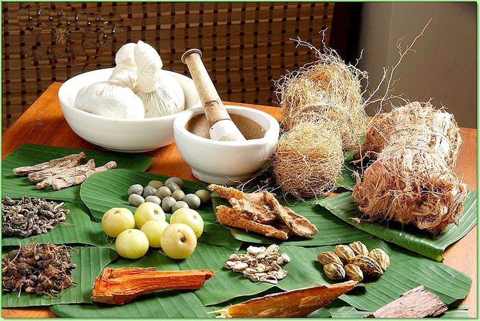 Một số bài thuốc dân gian có thể hỗ trợ điều trị hiệu quả