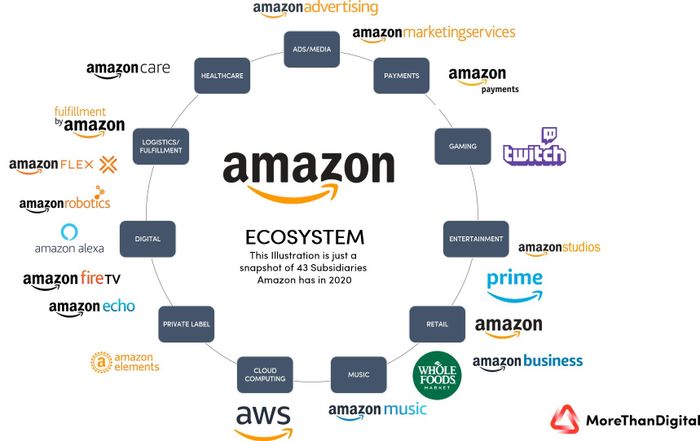Chiến Lược Mới Của Amazon: Bán Hàng Bằng Phim Ảnh Tự Sản Xuất.