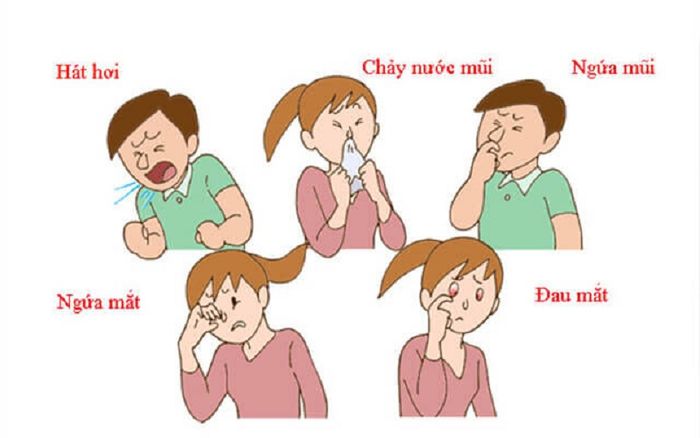 Mất cân bằng hệ vi sinh vật đường ruột dễ dẫn đến nhiễm khuẩn