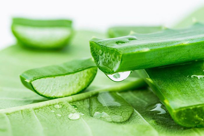 Sự dịu nhẹ của nha đam giúp giảm cảm giác nóng rát, khó chịu sau mỗi lần đi đại tiện.