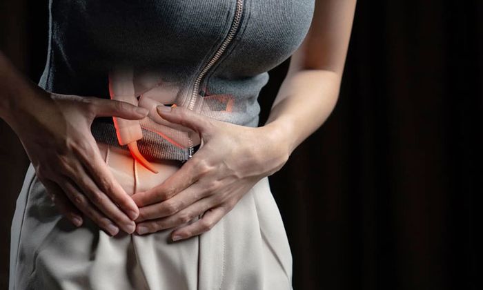 Ruột thừa mang lại nhiều lợi ích cho hệ miễn dịch của cơ thể