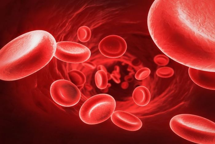 Các bệnh liên quan đến hồng cầu có thể gây ra tình trạng vàng da