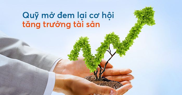 Quỹ đầu tư mở là gì? So sánh các quỹ mở