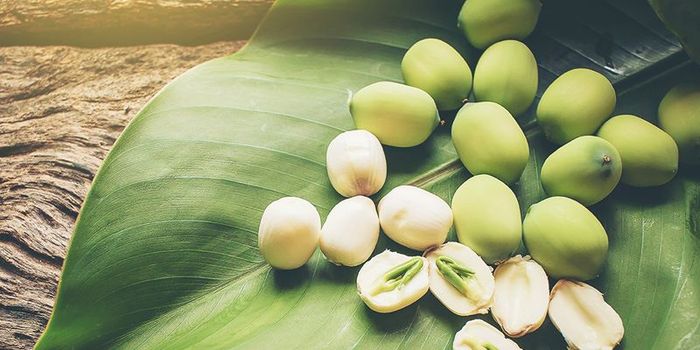 Chọn hạt sen chất lượng, không mốc và được bảo quản cẩn thận