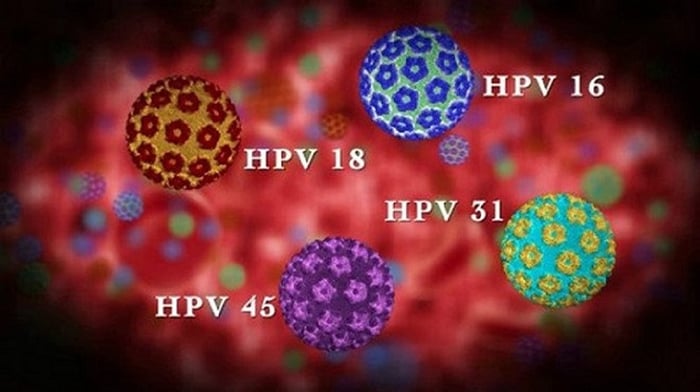 Virus HPV tồn tại nhiều loại khác nhau