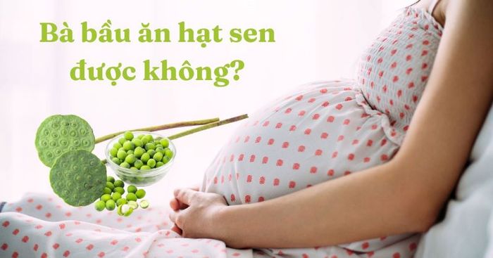 Có nên ăn hạt sen khi mang thai? Câu trả lời là có.